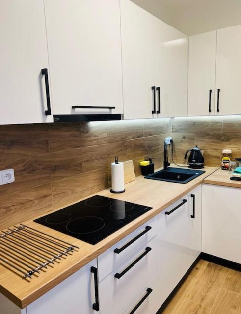 Appartamento Starobelska U Ostravar Areny *